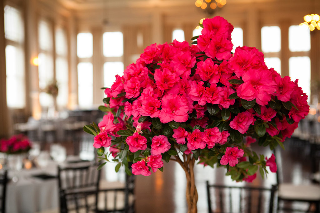 Wedding Head Table Setting