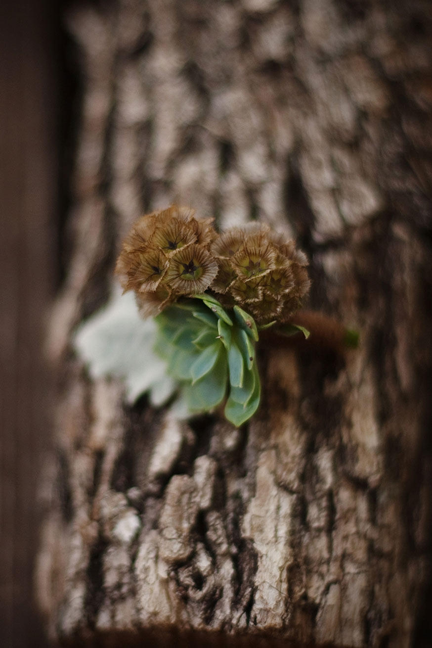 wedding boutinniere on log